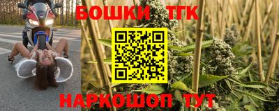 сатива Новокубанск