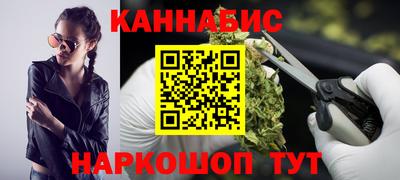 сатива Новокубанск