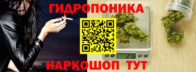 сатива Новокубанск