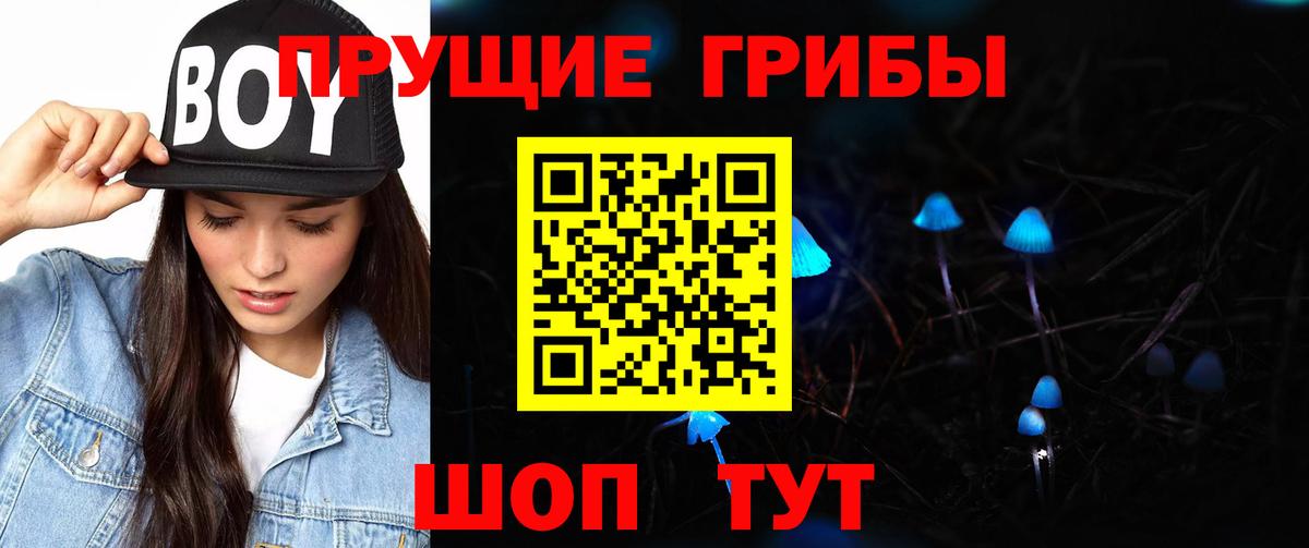 Псилоцибиновые грибы мицелий Фрязино